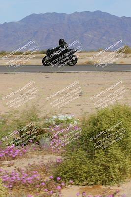 media/Mar-12-2023-SoCal Trackdays (Sun) [[d4c8249724]]/Turn 15 Inside Bloom (130pm)/